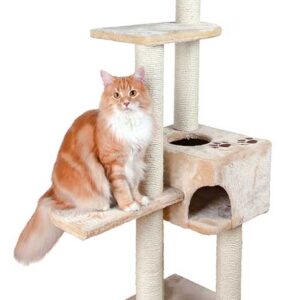 Cat Scratching Trees | Cat Furniture