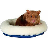 Hamster Beds