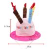 Happy Birthday Dog Candle Hat Pink