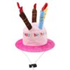 Happy Birthday Dog Candle Hat Pink