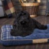 Blue Highland Dog Mattress Bed Ireland