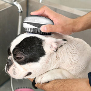 Dog Grooming & Dog Hygiene