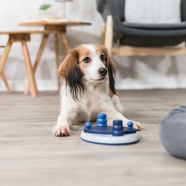Trixie Push Away Brain Training Game for Dogs