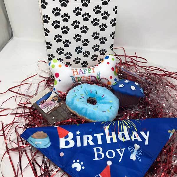 Dog Birthday Box 1 Boy
